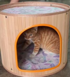 Bamboo pet nest